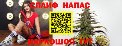 PSILOCYBIN Аша